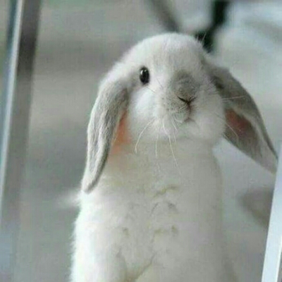 리뷰어 프로필