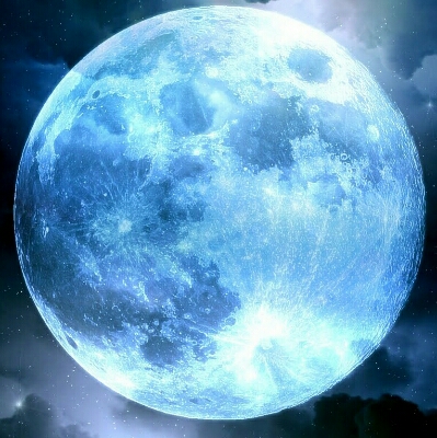 벨라 프로필