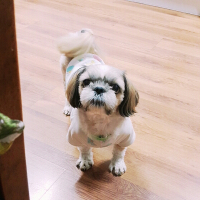 최스경 프로필