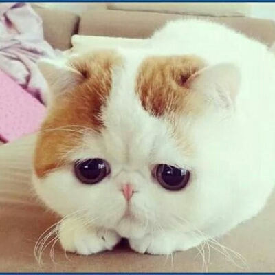세민 프로필