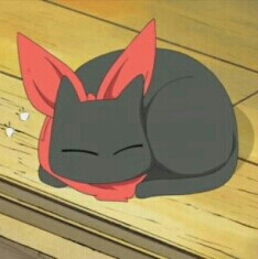 레샤 프로필