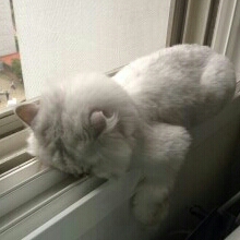 쭈꾸쭈꾸 프로필