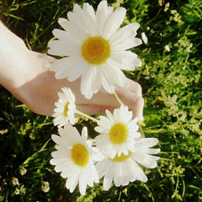 화이트초코 프로필