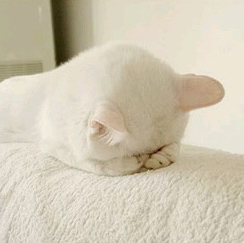 이제이 프로필
