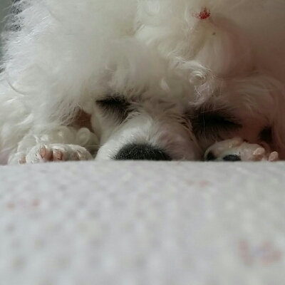 쭌잉 프로필
