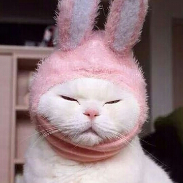 숨닝 프로필