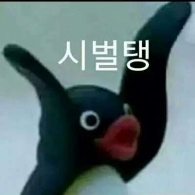 화신꾼 프로필
