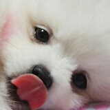 DSuzR 프로필