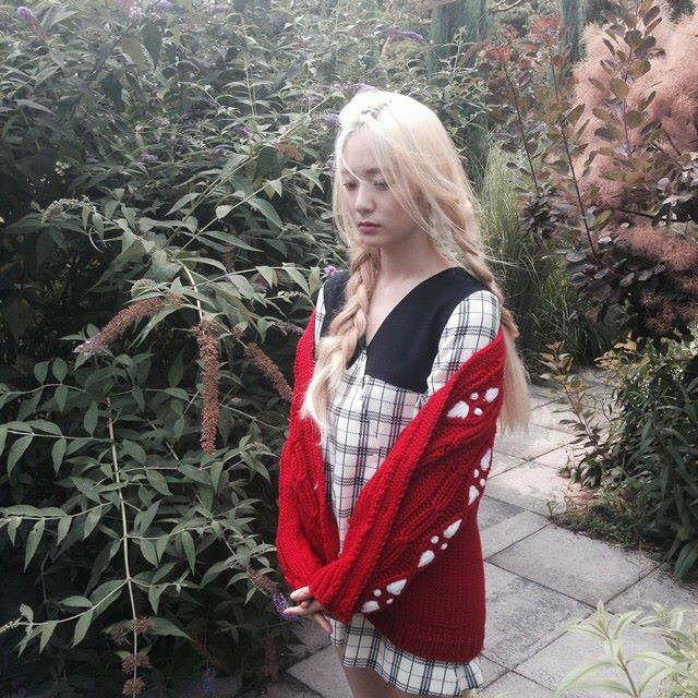 세향 프로필