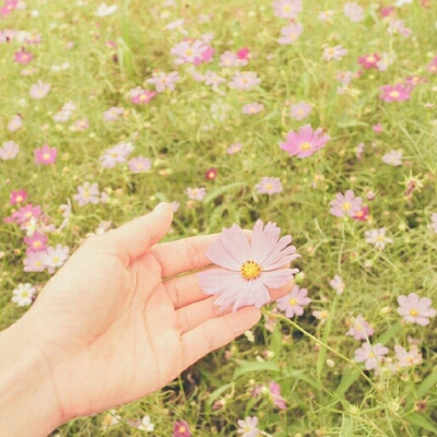 리뷰어 프로필