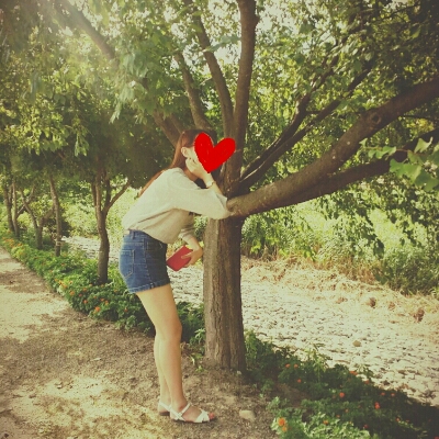 보스돼지 프로필