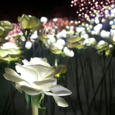 짱짱걸YO 프로필