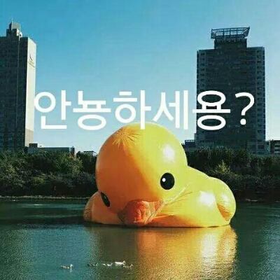 안녕요 프로필