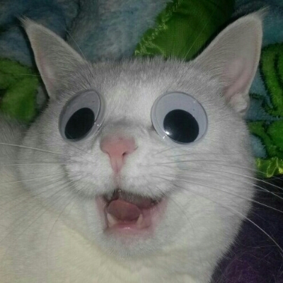 텅장 프로필