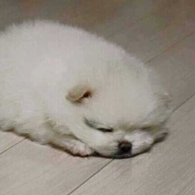 박박 프로필