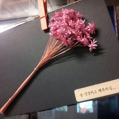 츠바사 프로필