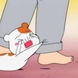 안냥 프로필