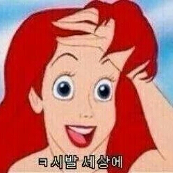 규롱 프로필