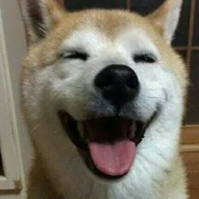 짱인치킨 프로필