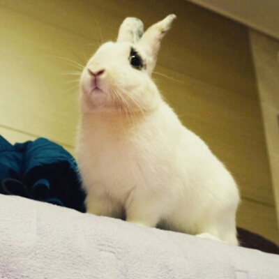 뀨람 프로필
