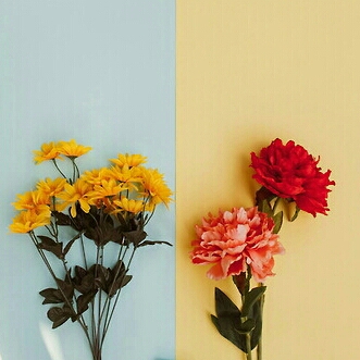 드림인쿡 프로필