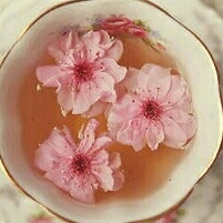 콜라콕 프로필