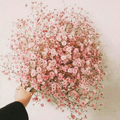 낭힁 프로필