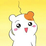 꽃틩 프로필