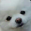 히찡 프로필