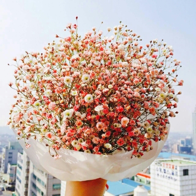 김스마일 프로필