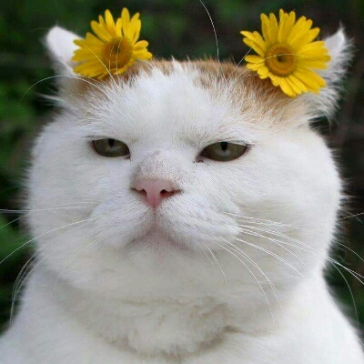 리뷰어 프로필