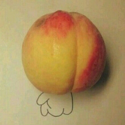 지미지밍 프로필