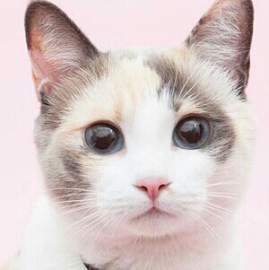 리뷰어 프로필