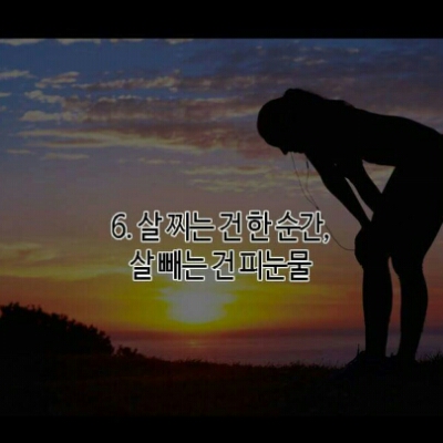 니콜키크더만 프로필