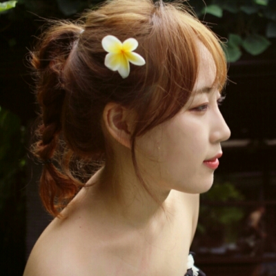 신쵸쵸 프로필