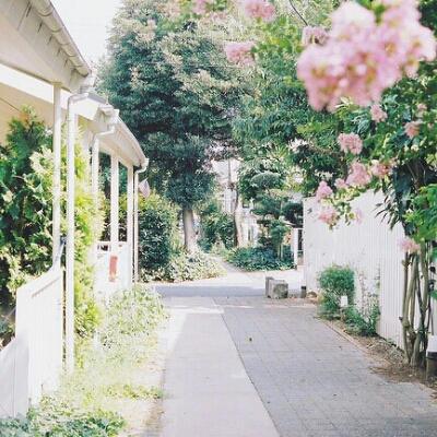 꺄하항 프로필