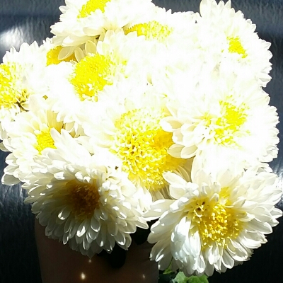 리뷰어 프로필