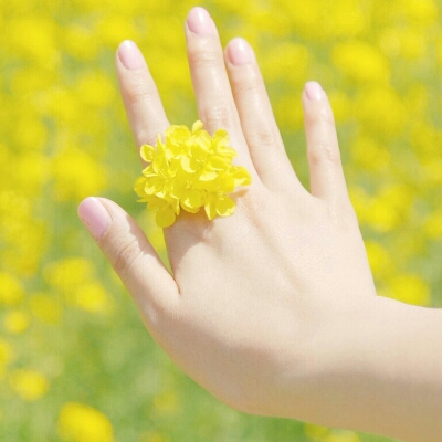 ericaa 프로필