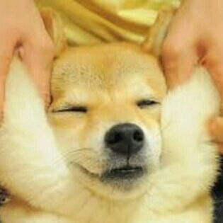 황가네공주님 프로필
