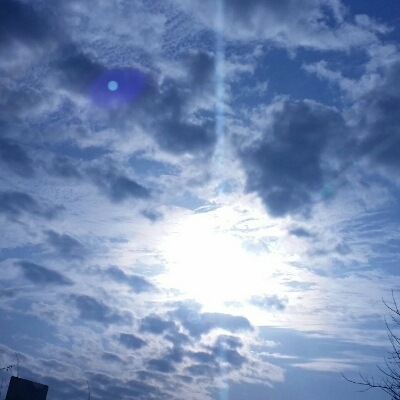 꼬마콩 프로필