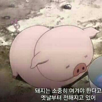 달애 프로필