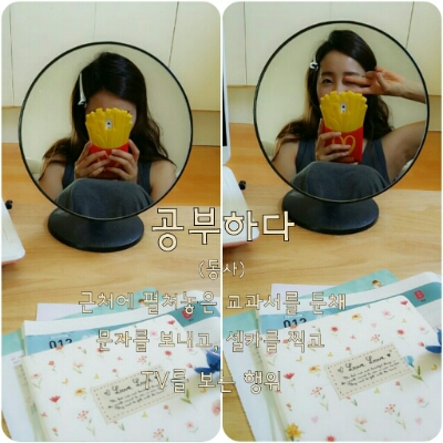 강소라 프로필