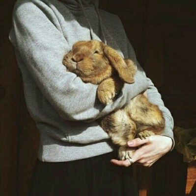 박해진과결혼 프로필