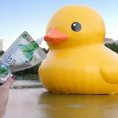 곰조기 프로필