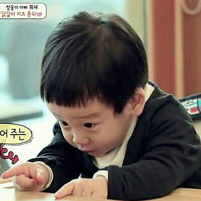 고고가쟈 프로필