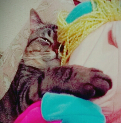 잉여라우 프로필
