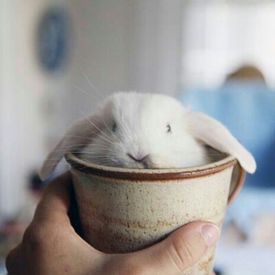 리뷰어 프로필