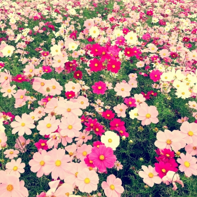 리뷰어 프로필