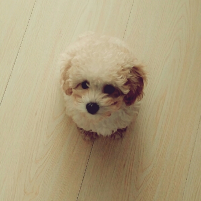 Ramy95 프로필