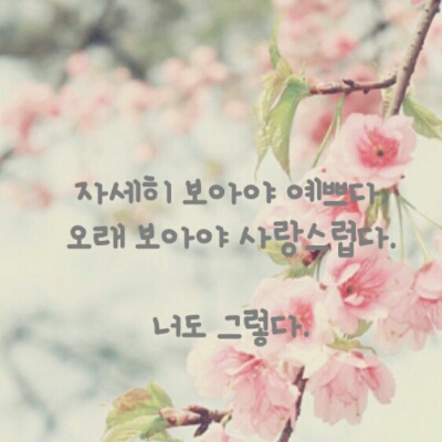 다비이 프로필